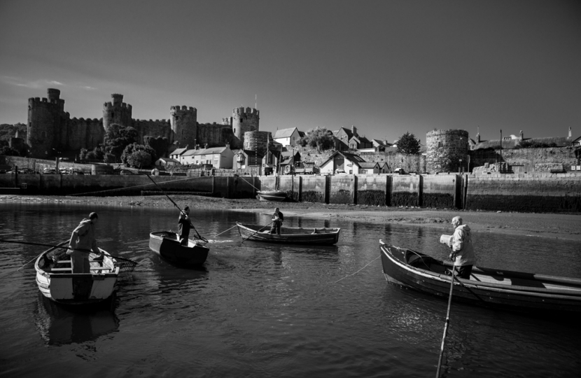 Conwy Mussels: David White photography 