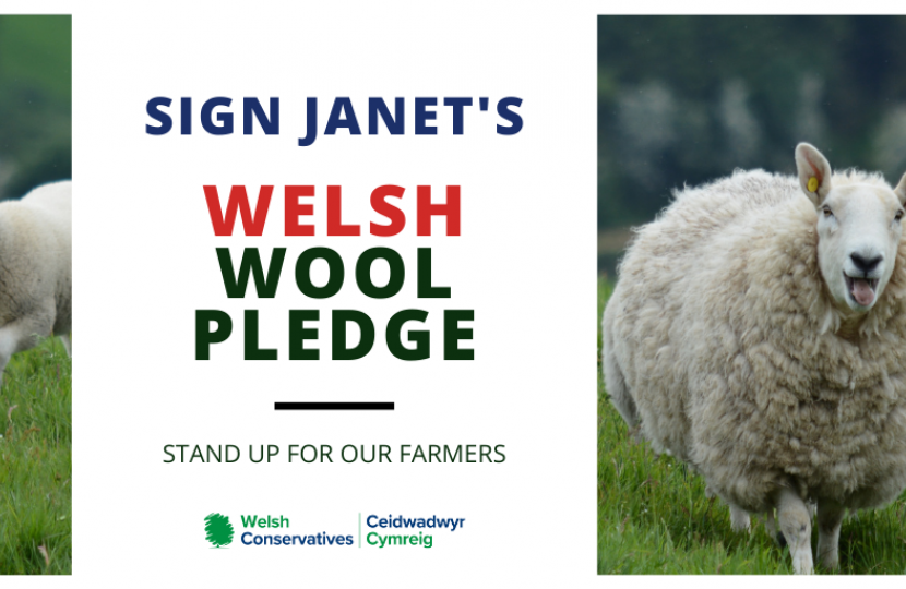 Welsh Wool Pledge