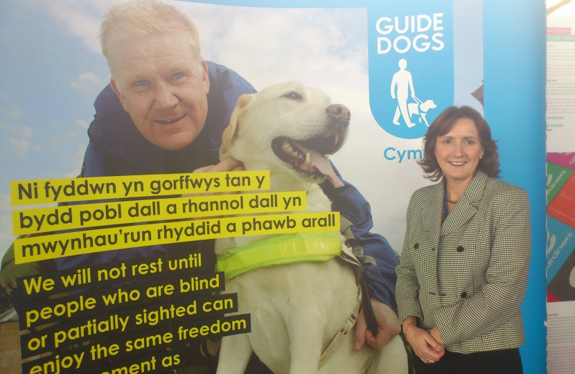 Janet at a Guide Dogs event in the Senedd