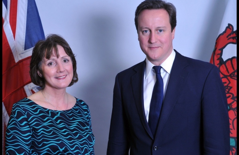 Cllr Janet Finch-Saunders AM meets Prime Minister David Cameron
